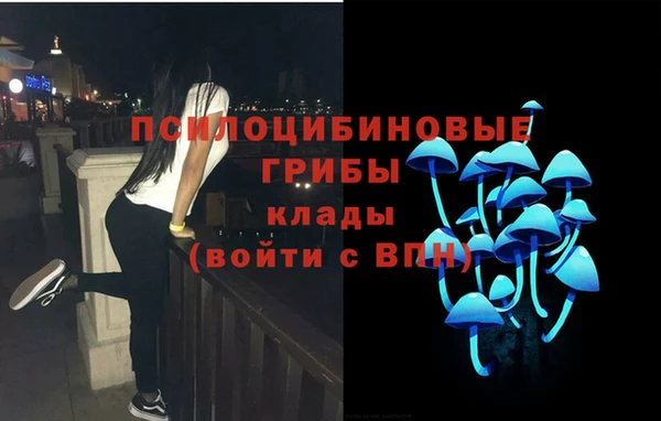эйфоретик Белокуриха