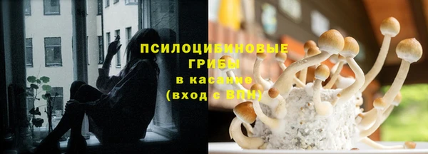 эйфоретик Белокуриха