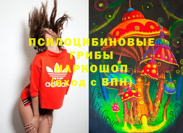 ECSTASY Богородицк