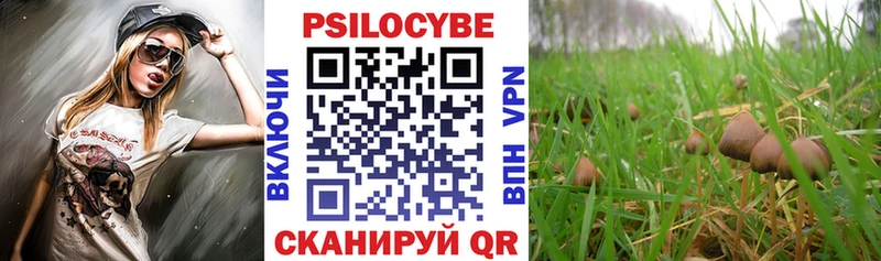 как найти закладки hydra зеркало Псилоцибиновые грибы MAGIC MUSHROOMS Саяногорск